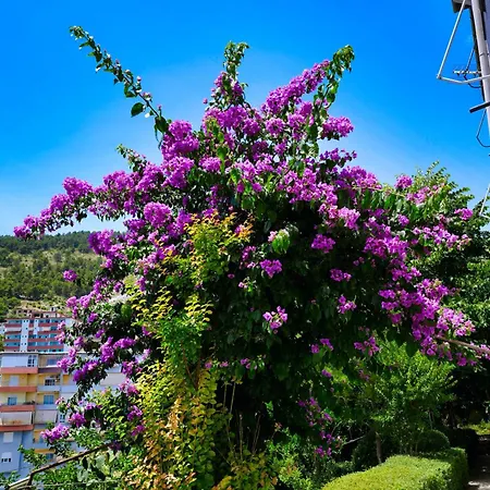 Banushi Appartement Gjirokastër