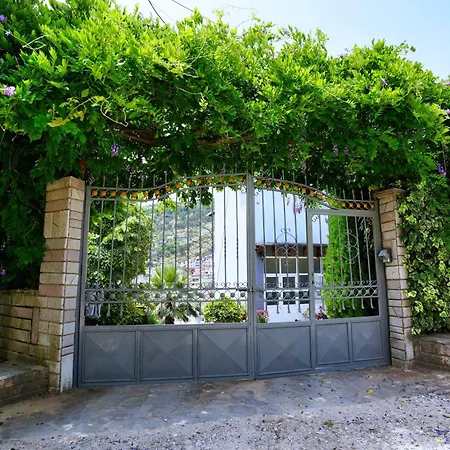 Banushi * Gjirokastër