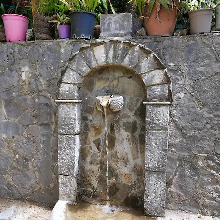 Banushi Gjirokastër