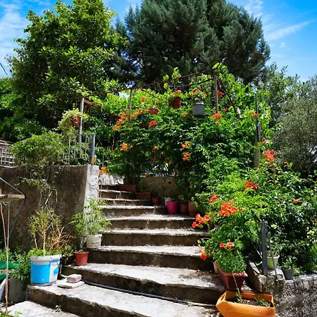 Appartement Banushi Gjirokastër