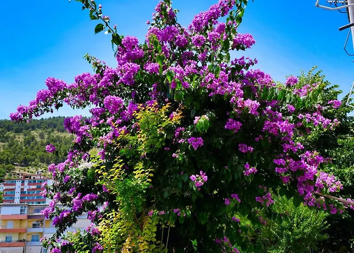 Banushi 公寓 Gjirokastër